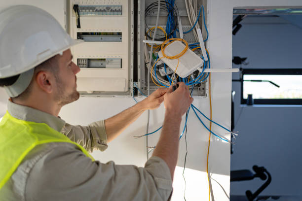 Best Electric Panel Repair  in Barneveld, WI